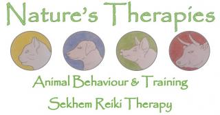 Logo for Nature's Therapies