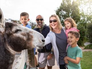 Family meets friendly donkey on adventure trail