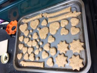 Raw dog biscuits on baking tray