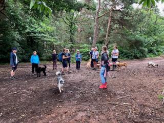 Group of dog walkers in the woods at Uphams