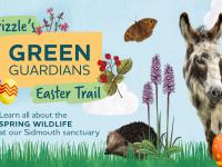 illustrated wildlife and easter eggs with photo of donkey