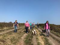 Group of dog walkers on the heaths