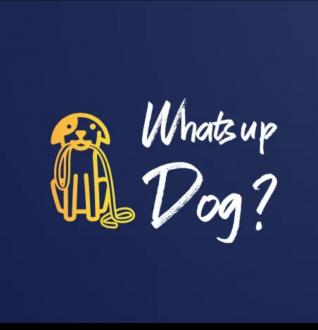 Logo sitting dog holding a lead in its mouth