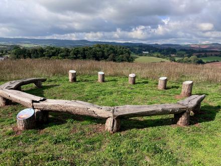 Circular wooden bench at the top of Ridgetop Park