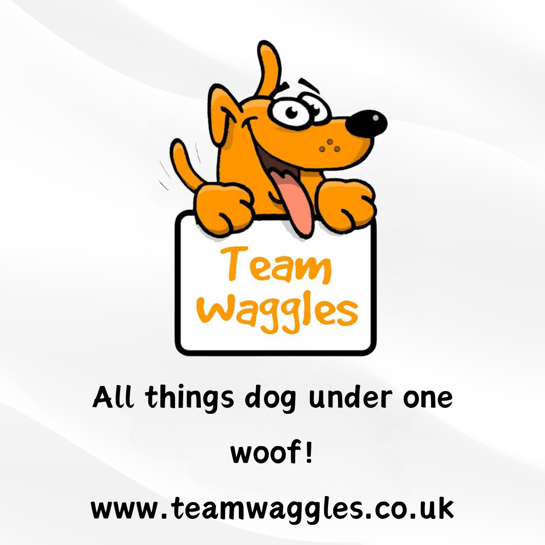 Waggles & The Waggle Club