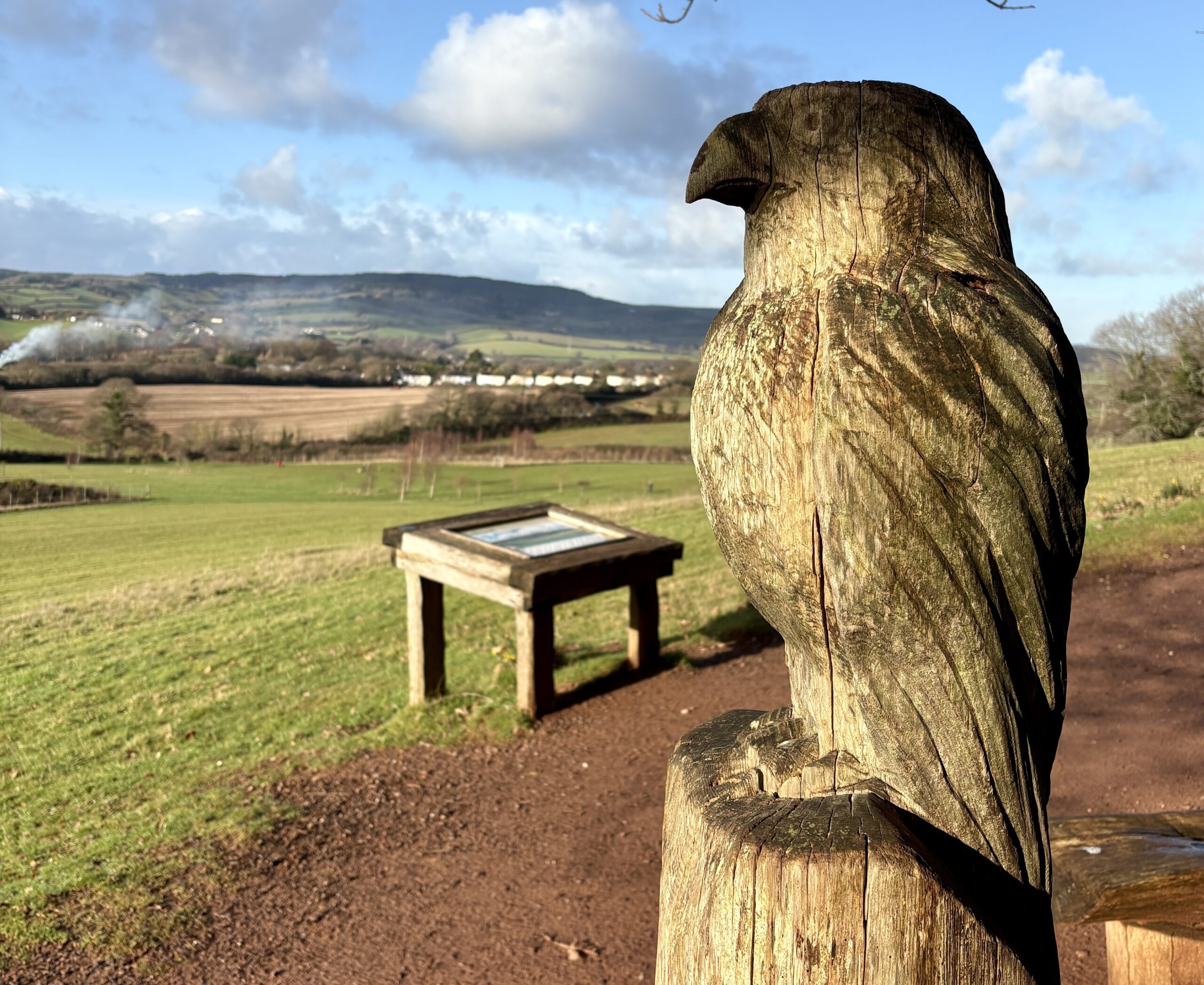 Carved wooden bird looking over the countryside park