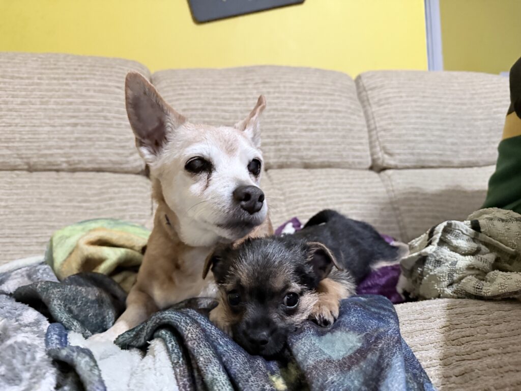 Milly and Zelda