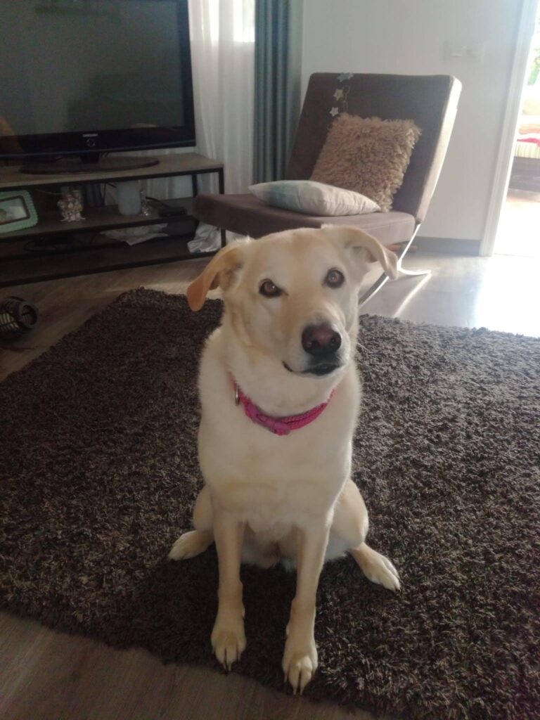 Molly