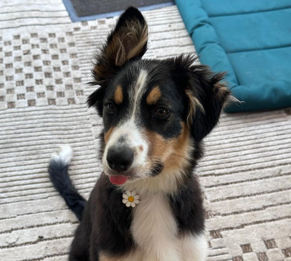 Nell